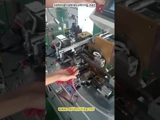 Automatyczna dwugłowicowa maszyna do cynowania zanurzeniowego – Model 2