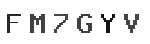Verification Code Image